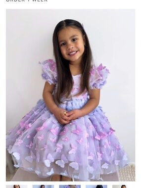 Lilac & Pink Butterfly Tulle Dress